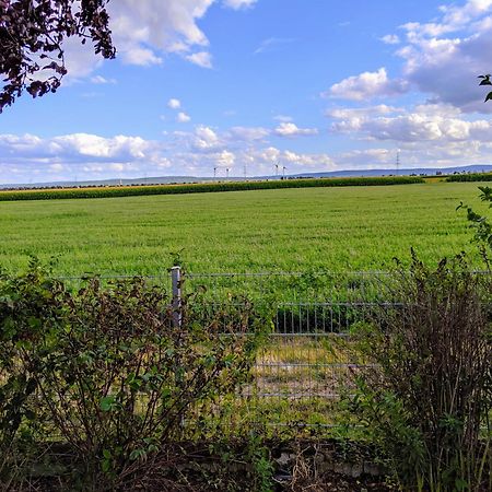 Grosse Schoenheit Mit Panoramablick Euskirchen Dış mekan fotoğraf