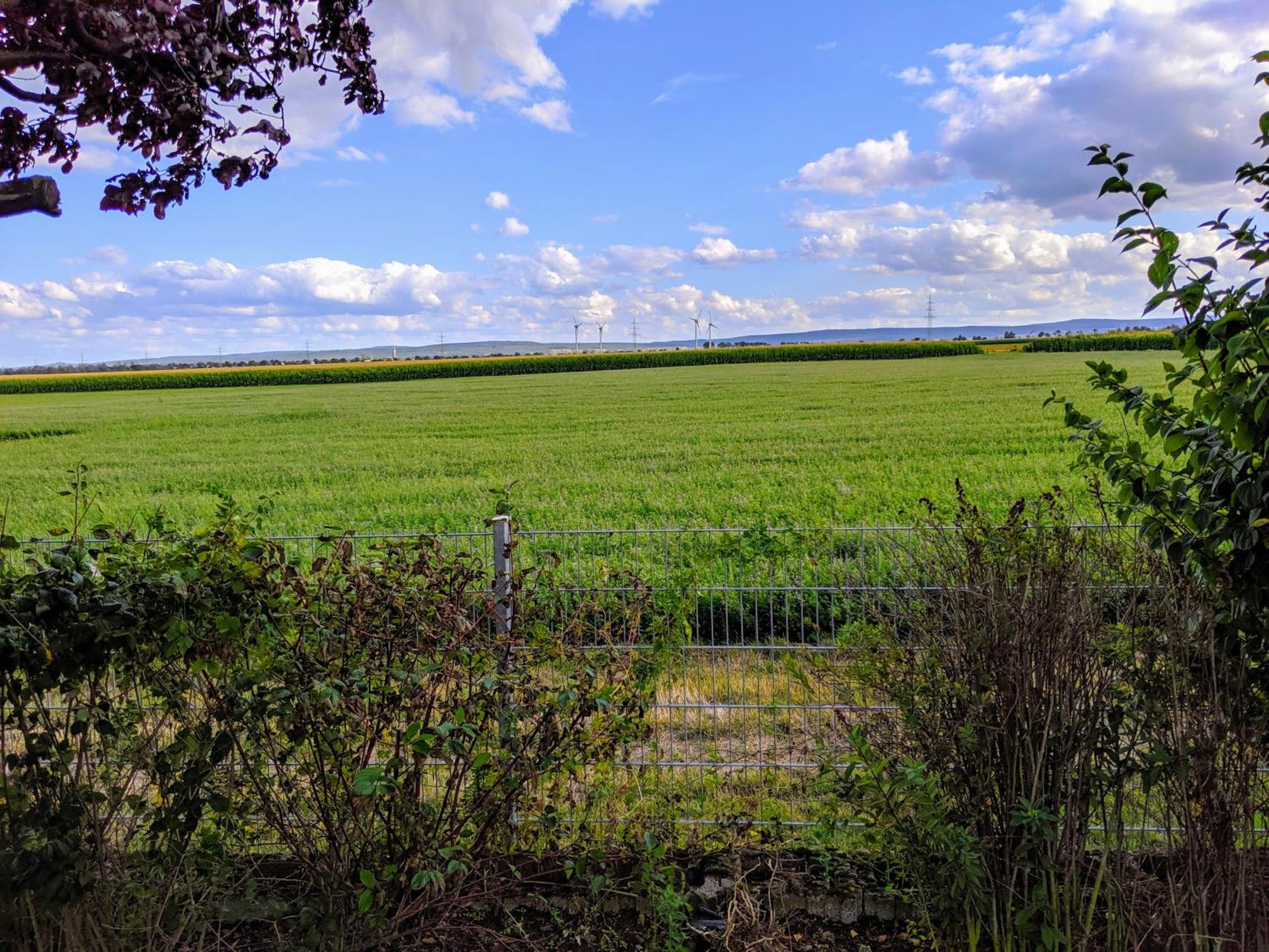 Grosse Schoenheit Mit Panoramablick Euskirchen Dış mekan fotoğraf